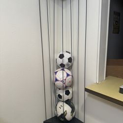 Stuffed Animal/ball Holder 