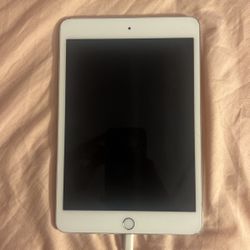 Ipad Mini 