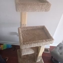 Cat Post 