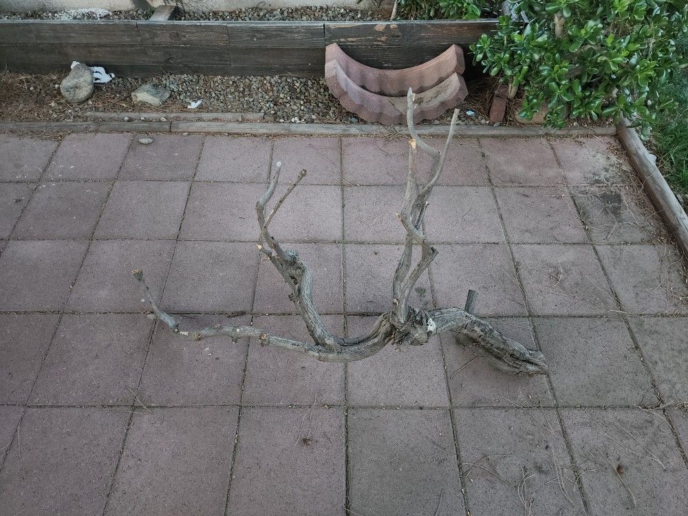 Large Wood Pieces For Birds/Aquariums
