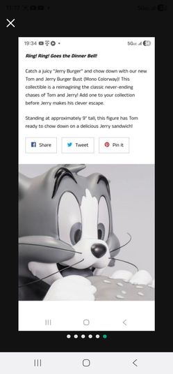 Tom and jerry collectible