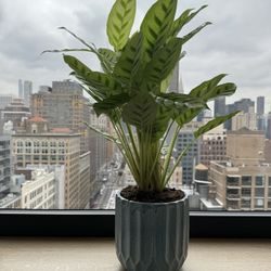 Blue Speckle Glazed Ceramic Pot With Large Indoor/outdoor Perennial 