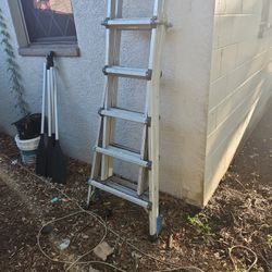 20' Ladder