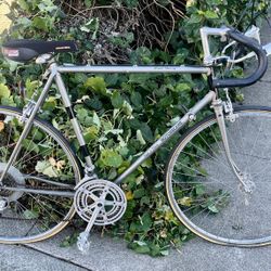 Classic Road Bike Tall Size 