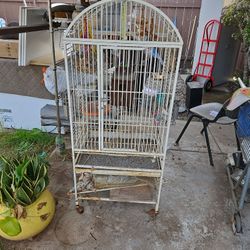 Bird Cage