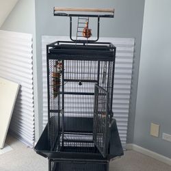 Bird Cage 