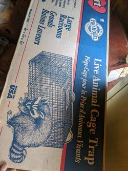 Cage with box