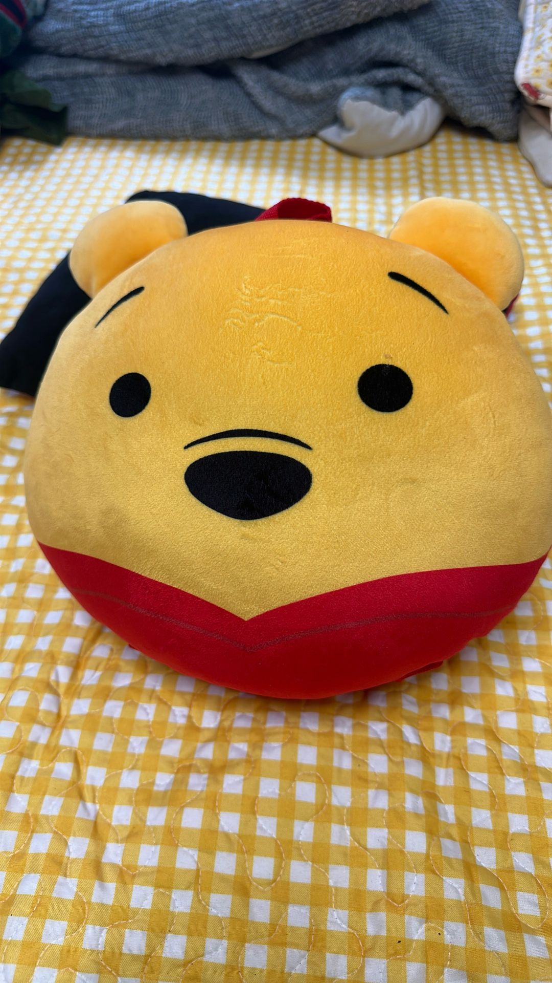 Winnie The Pooh Bag pack For Kids