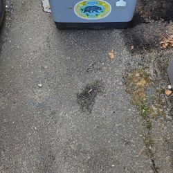 Cooler