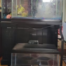 Aquariums
