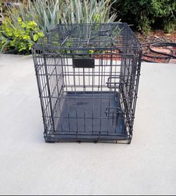 Dog Create Smaller Dogs