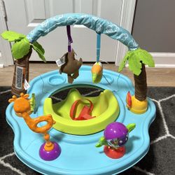Fisher Price Booster Seat