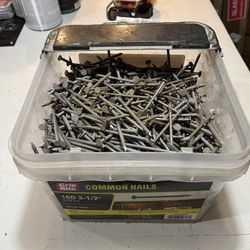 16d X 3.5 Nails