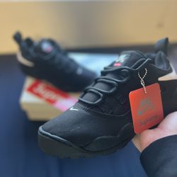 Supreme/Nike SB Darwin’s Size 8.5 