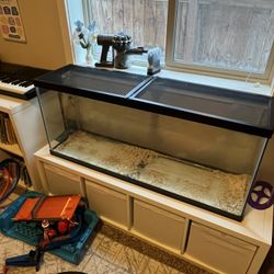 Large Fish / Hamster Tank