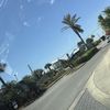 Alex’s Thrifts & Goods 