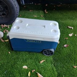Cooler 