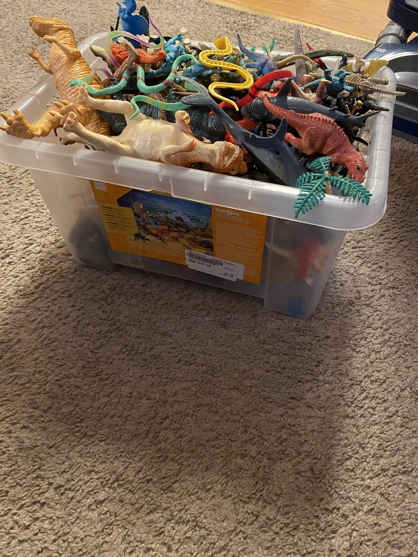 Dinasours, Sea Creatures, Etc