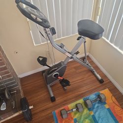 Exerpeutic Exercise Bike