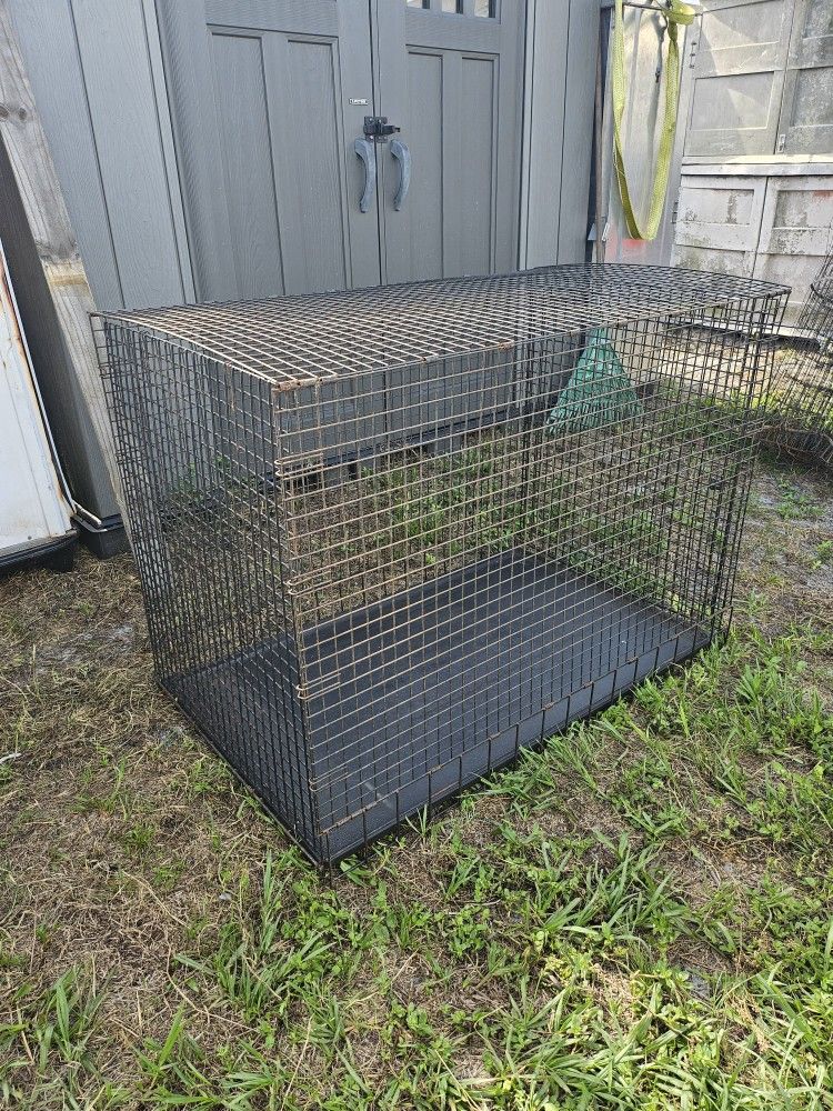 Big cage