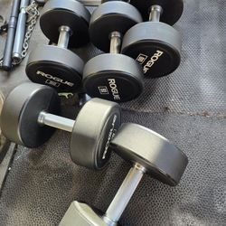 Weight Rogue Urethane Dumbbells 