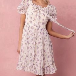 Ivy City Dress Size 8 - Worn Once - Pickup From Northridge Area