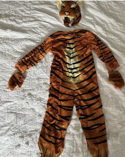 Tiger Costume Size 3-4t 