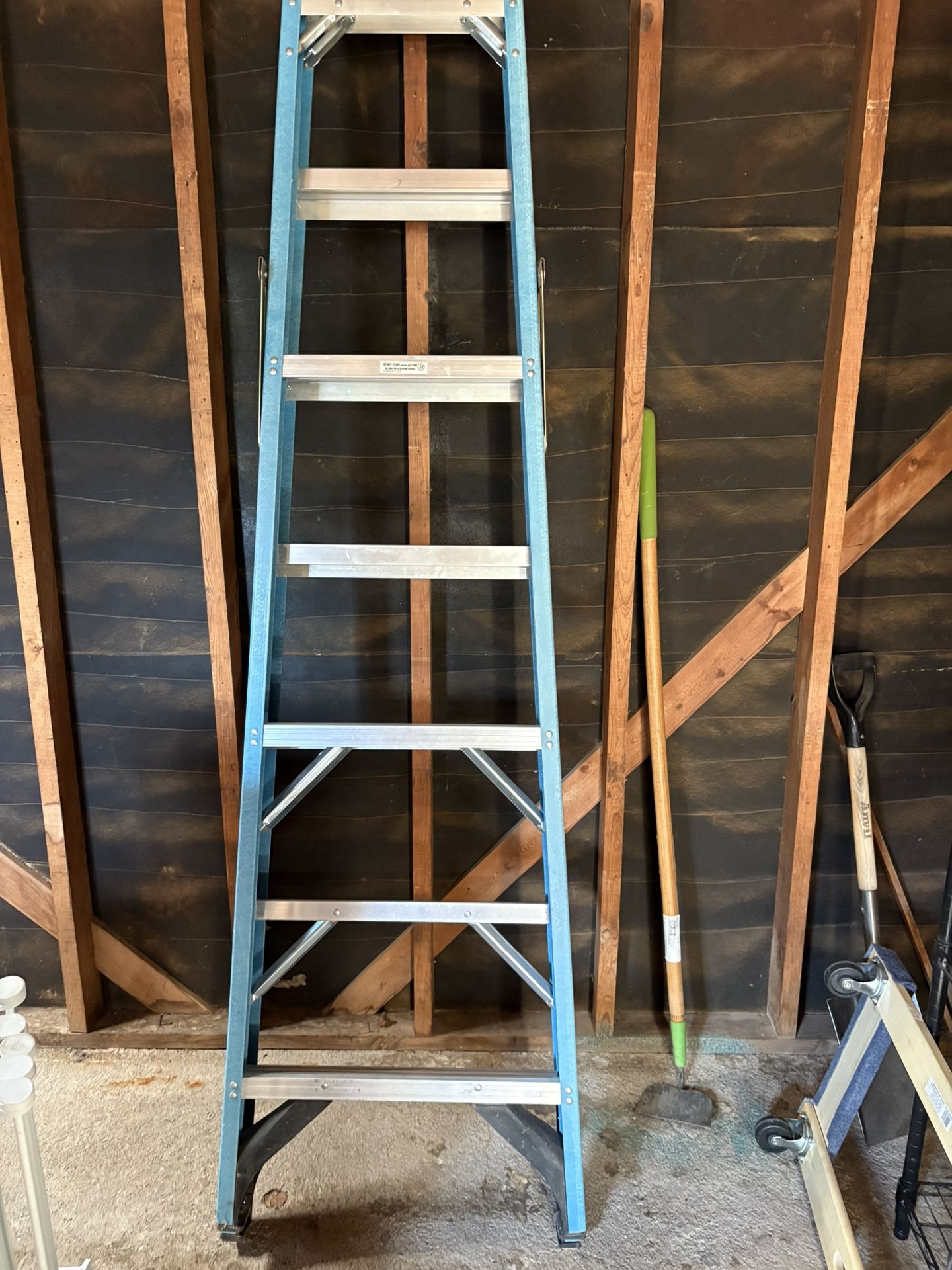 Werner FS108 Ladder