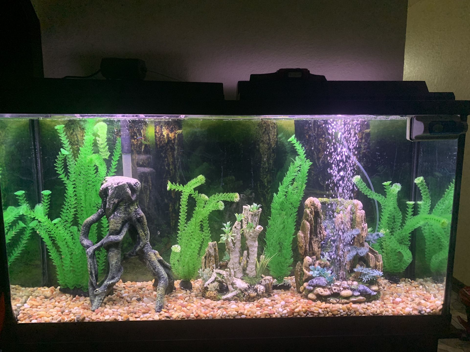 60 Gal Aquarium with Filter and Decorations