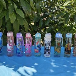 Demond Hunters Bottle Water Cups
