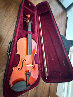 Viola