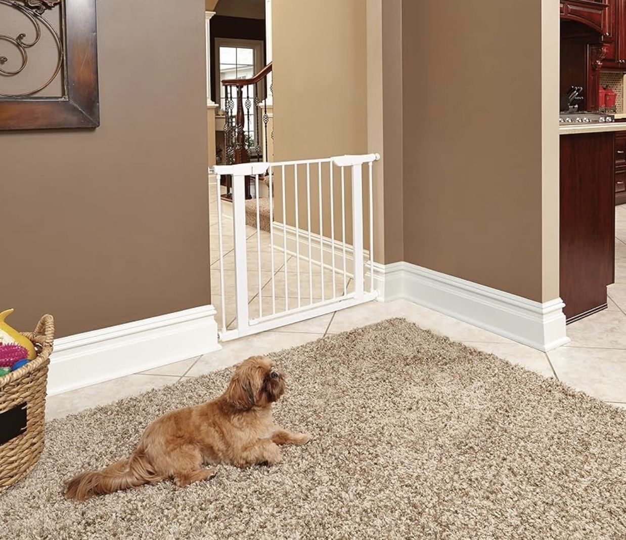 $25 Brand New In Open BoxPet gate in soft white measures 29.875H inches & expands from 29.5 - 38 inches wide