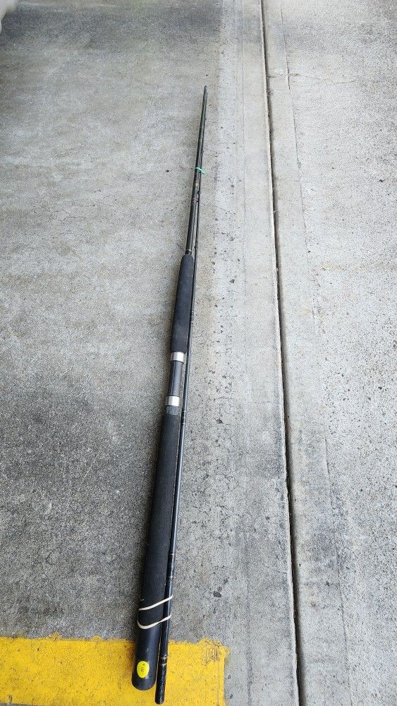 Lamiglas Sturgeon Special Fishing Rod
9ft.
