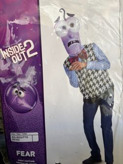 Inside & out 2 adult costume