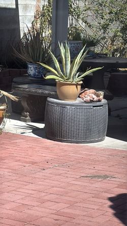 2 Outdoor Coffee Tables and storage