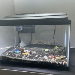 Aquarium 10gal