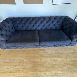 Velvet Couch 