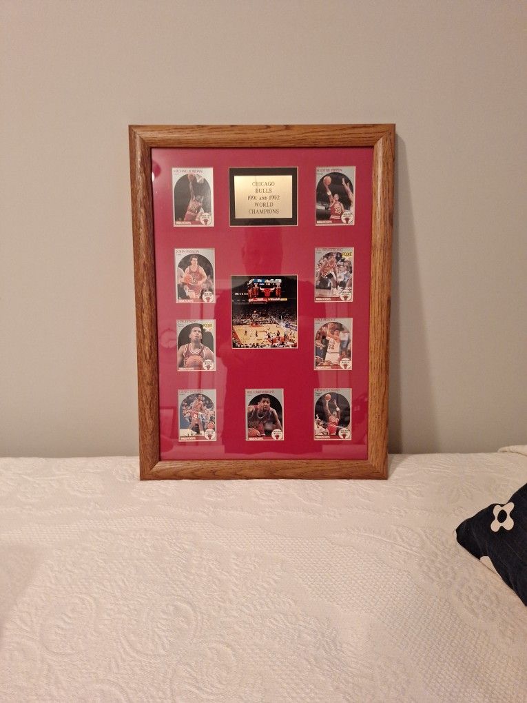 Chicago Bulls 1991 and 1992 World Champions