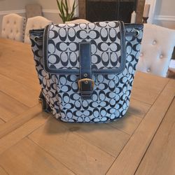 Super Cute Purse / Backpack
