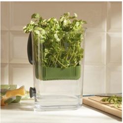 Contenedor Para Cilantro