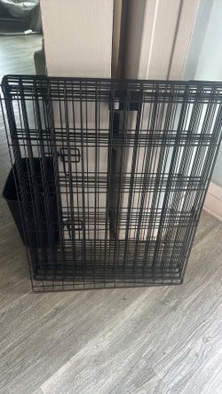 Divider Excerise Pen 