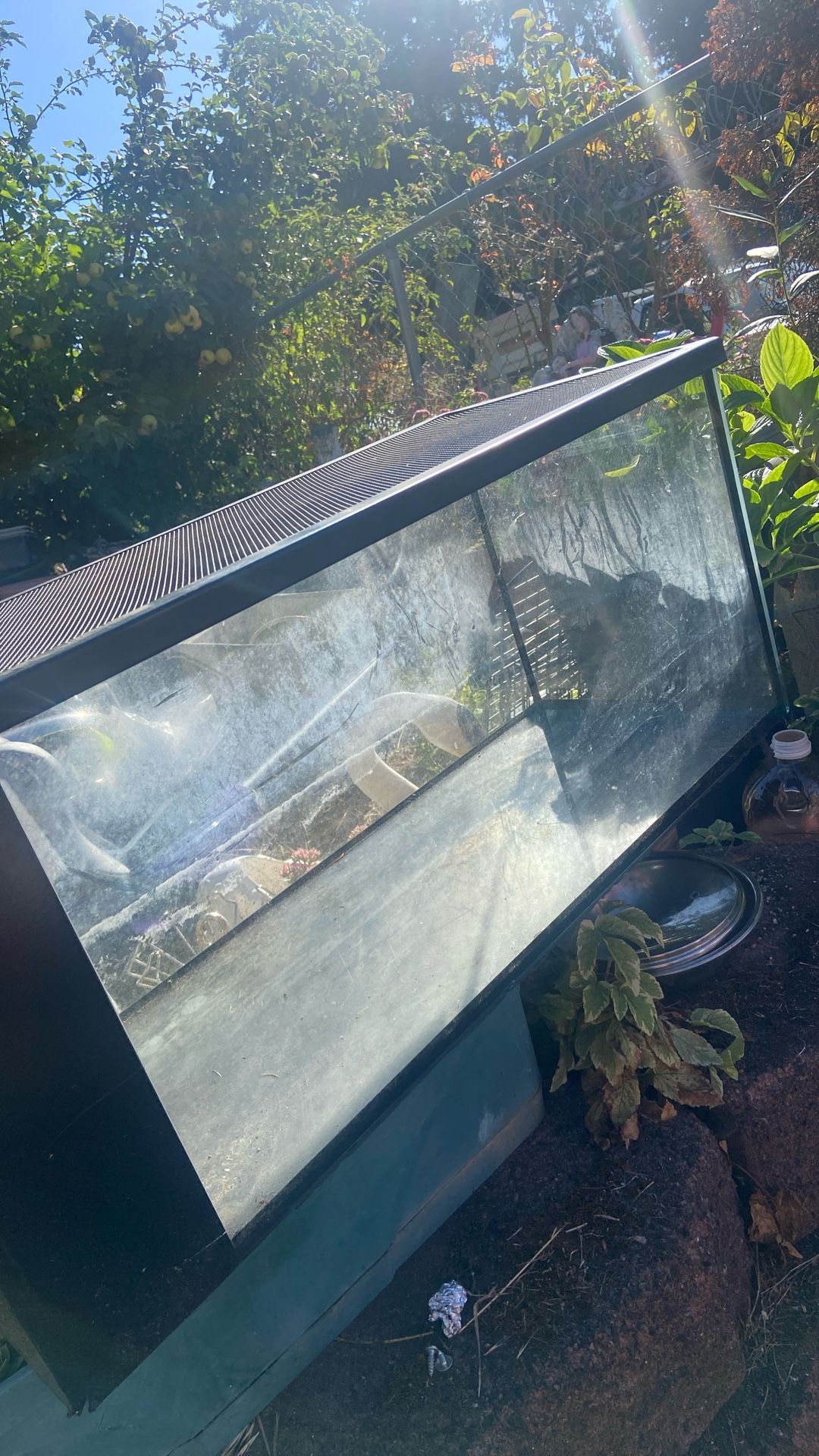 20 Gal Fish Tank. W/. Cover Price.20$.  Pick Up.  E.  67th. and. Grandview.  E.  Tacoma 