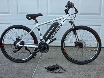 Electric Bike