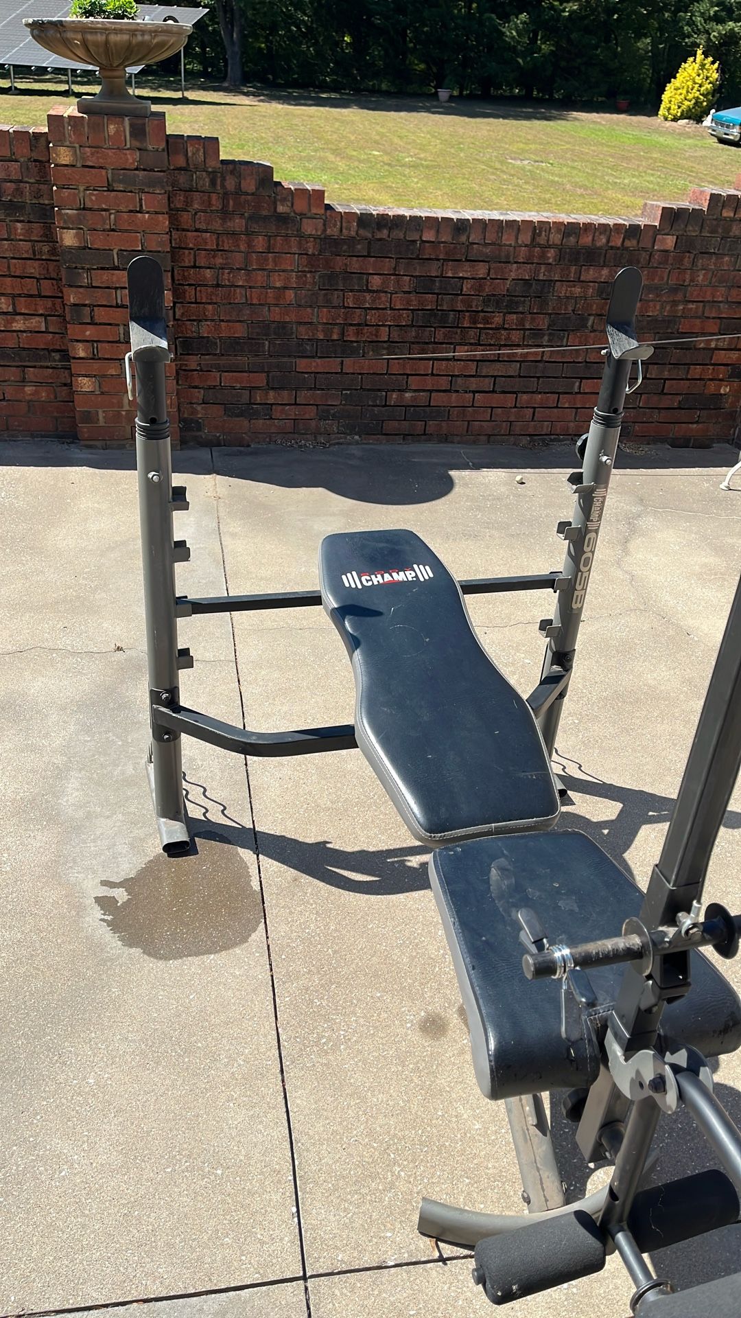 Workout Bench
