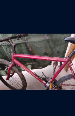 Running Bike For 50 Ready To Ride