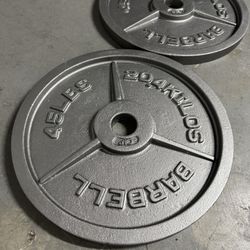 Pair Of 45 Pound CAP Olympic Weights
