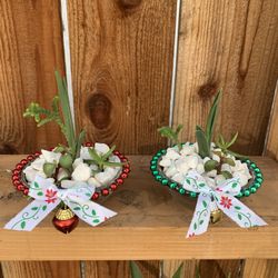 Miniature Holiday Succulent Arrangement
