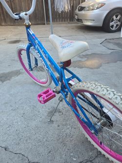 Bicleta  Azul y rosita