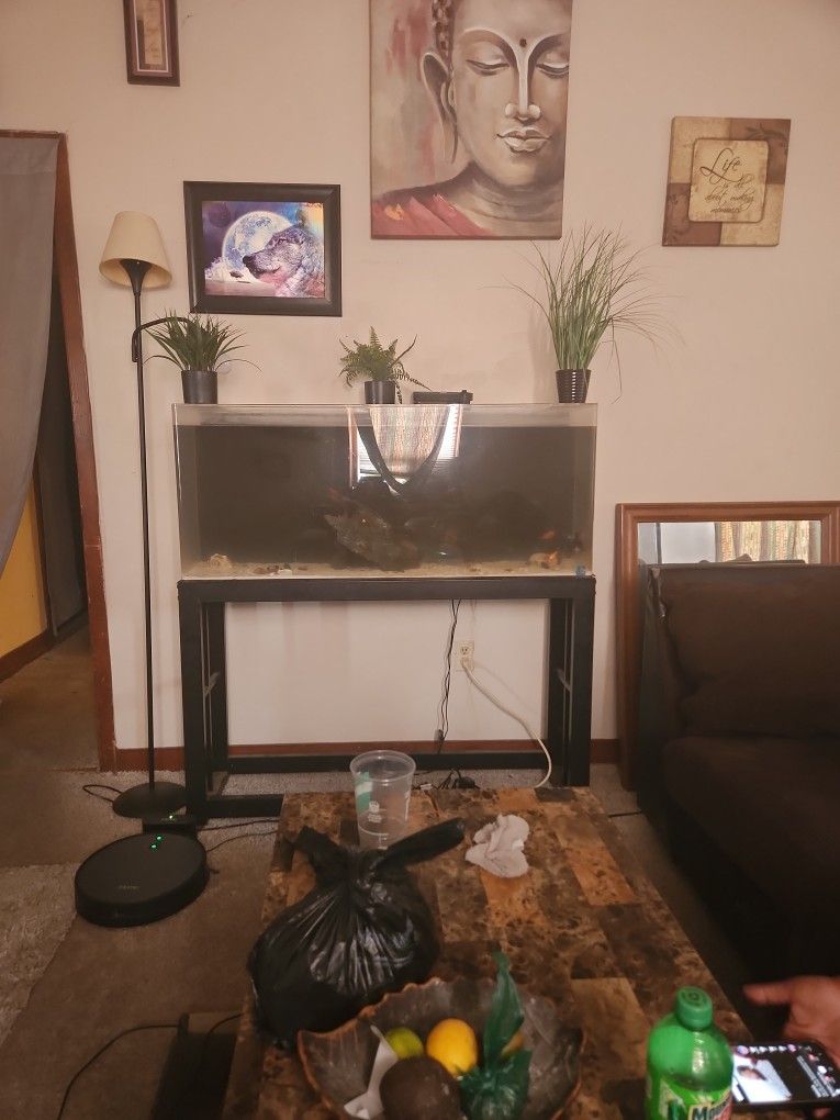 55 Gallon Fish Tank And Stand 