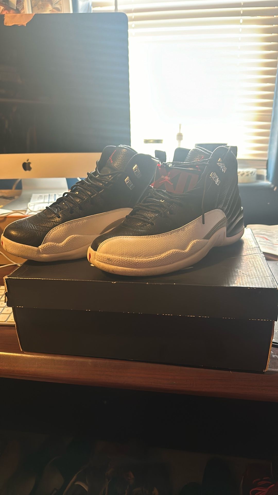 Jordan 12 Playoffs